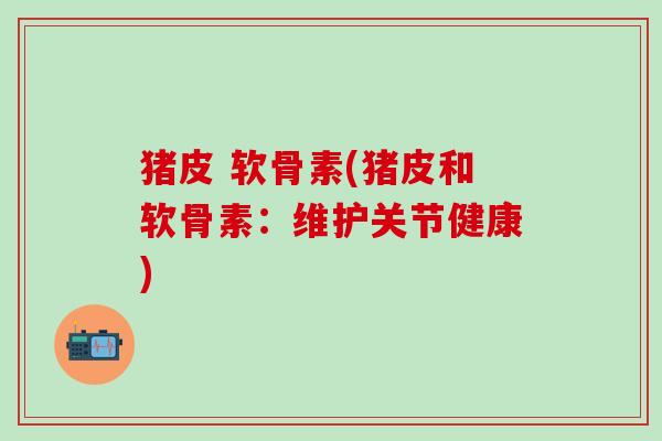 猪皮 软骨素(猪皮和软骨素：维护关节健康)-第1张图片-氨糖科普网