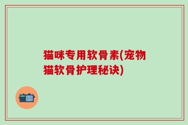 猫咪专用软骨素(宠物猫软骨护理秘诀)-第1张图片-氨糖科普网 猫咪专用软骨素(宠物猫软骨护理秘诀)-第1张图片-氨糖科普网