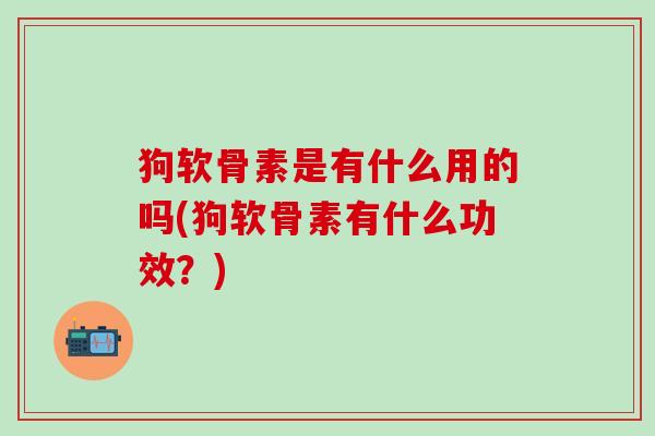 狗软骨素是有什么用的吗(狗软骨素有什么功效?)-第1张图片-氨糖科普网 狗软骨素是有什么用的吗(狗软骨素有什么功效?)-第1张图片-氨糖科普网