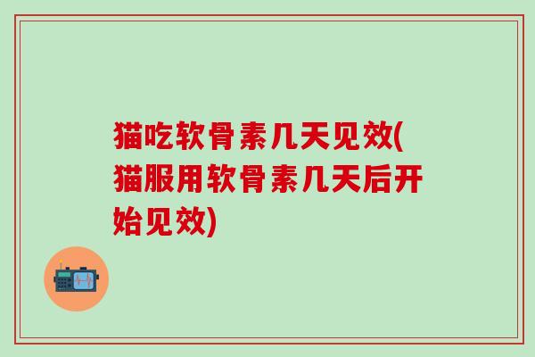 猫吃软骨素几天见效(猫服用软骨素几天后开始见效)-第1张图片-氨糖科普网 猫吃软骨素几天见效(猫服用软骨素几天后开始见效)-第1张图片-氨糖科普网