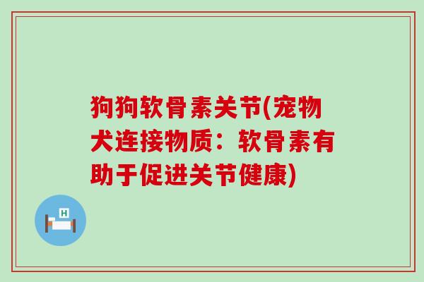 狗狗软骨素关节(宠物犬连接物质:软骨素有助于促进关节健康)-第1张图片-氨糖科普网 狗狗软骨素关节(宠物犬连接物质:软骨素有助于促进关节健康)-第1张图片-氨糖科普网