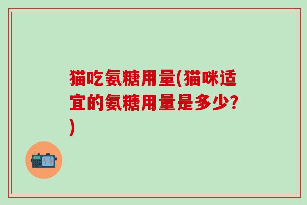 猫吃氨糖用量(猫咪适宜的氨糖用量是多少？)-第1张图片-氨糖科普网