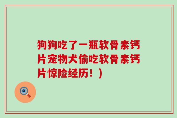 狗狗吃了一瓶软骨素钙片宠物犬偷吃软骨素钙片惊险经历！)-第1张图片-氨糖科普网
