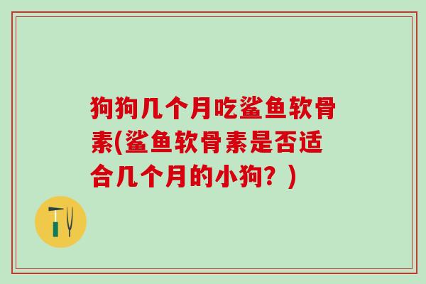 狗狗几个月吃鲨鱼软骨素(鲨鱼软骨素是否适合几个月的小狗？)-第1张图片-氨糖科普网