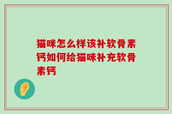 猫咪怎么样该补软骨素钙如何给猫咪补充软骨素钙-第1张图片-氨糖科普网