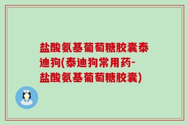 盐酸氨基葡萄糖胶囊泰迪狗(泰迪狗常用药-盐酸氨基葡萄糖胶囊)-第1张图片-氨糖科普网