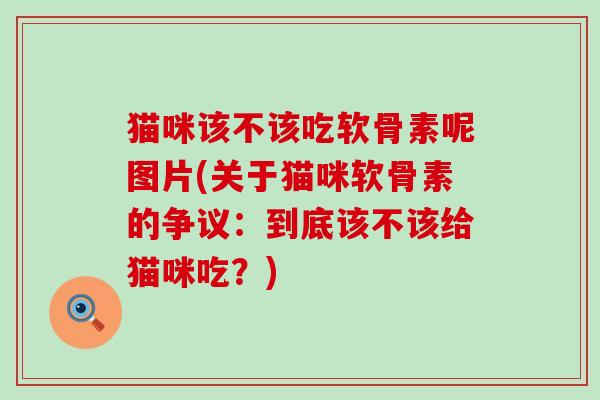 猫咪该不该吃软骨素呢图片(关于猫咪软骨素的争议:到底该不该给猫咪吃?)-第1张图片-氨糖科普网 猫咪该不该吃软骨素呢图片(关于猫咪软骨素的争议:到底该不该给猫咪吃?)-第1张图片-氨糖科普网