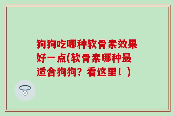 狗狗吃哪种软骨素效果好一点(软骨素哪种最适合狗狗?看这里!)-第1张图片-氨糖科普网 狗狗吃哪种软骨素效果好一点(软骨素哪种最适合狗狗?看这里!)-第1张图片-氨糖科普网