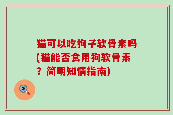 猫可以吃狗子软骨素吗(猫能否食用狗软骨素?简明知情指南)-第1张图片-氨糖科普网 猫可以吃狗子软骨素吗(猫能否食用狗软骨素?简明知情指南)-第1张图片-氨糖科普网