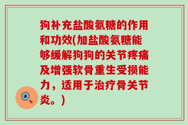 狗补充盐酸氨糖的作用和功效(加盐酸氨糖能够缓解狗狗的关节疼痛及增强软骨重生受损能力，适用于治疗骨关节炎。)-第1张图片-氨糖科普网