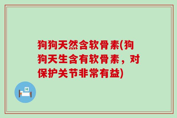 狗狗天然含软骨素(狗狗天生含有软骨素，对保护关节非常有益)-第1张图片-氨糖科普网