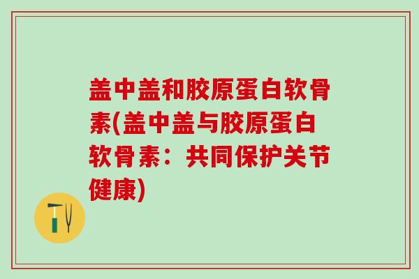 盖中盖和胶原蛋白软骨素(盖中盖与胶原蛋白软骨素:共同保护关节健康)-第1张图片-氨糖科普网 盖中盖和胶原蛋白软骨素(盖中盖与胶原蛋白软骨素:共同保护关节健康)-第1张图片-氨糖科普网