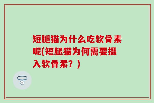 短腿猫为什么吃软骨素呢(短腿猫为何需要摄入软骨素？)-第1张图片-氨糖科普网