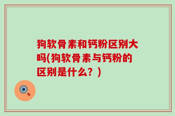 狗软骨素和钙粉区别大吗(狗软骨素与钙粉的区别是什么?)-第1张图片-氨糖科普网 狗软骨素和钙粉区别大吗(狗软骨素与钙粉的区别是什么?)-第1张图片-氨糖科普网