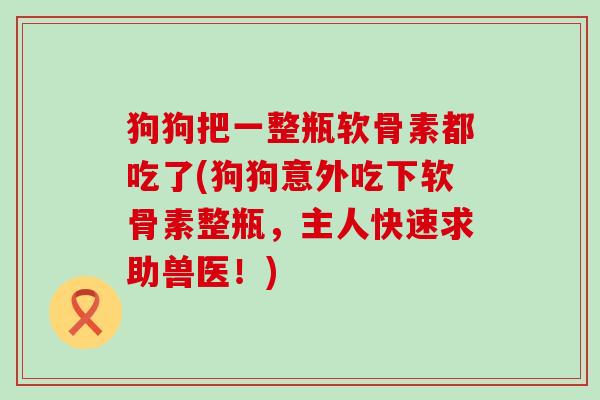 狗狗把一整瓶软骨素都吃了(狗狗意外吃下软骨素整瓶,主人快速求助兽医!)-第1张图片-氨糖科普网 狗狗把一整瓶软骨素都吃了(狗狗意外吃下软骨素整瓶,主人快速求助兽医!)-第1张图片-氨糖科普网