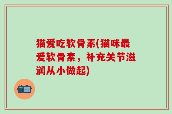 猫爱吃软骨素(猫咪最爱软骨素,补充关节滋润从小做起)-第1张图片-氨糖科普网 猫爱吃软骨素(猫咪最爱软骨素,补充关节滋润从小做起)-第1张图片-氨糖科普网