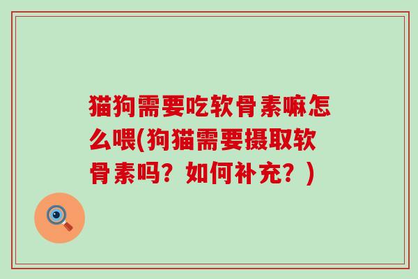 猫狗需要吃软骨素嘛怎么喂(狗猫需要摄取软骨素吗?如何补充?)-第1张图片-氨糖科普网 猫狗需要吃软骨素嘛怎么喂(狗猫需要摄取软骨素吗?如何补充?)-第1张图片-氨糖科普网