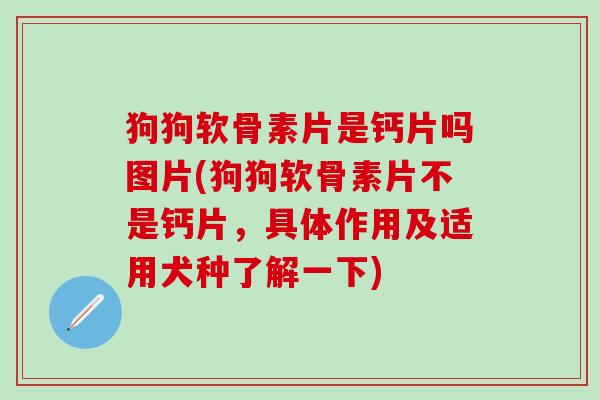 狗狗软骨素片是钙片吗图片(狗狗软骨素片不是钙片,具体作用及适用犬种了解一下)-第1张图片-氨糖科普网 狗狗软骨素片是钙片吗图片(狗狗软骨素片不是钙片,具体作用及适用犬种了解一下)-第1张图片-氨糖科普网