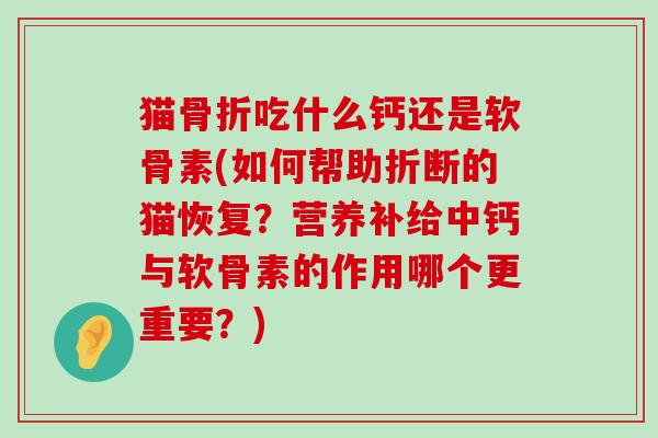 猫骨折吃什么钙还是软骨素(如何帮助折断的猫恢复?营养补给中钙与软骨素的作用哪个更重要?)-第1张图片-氨糖科普网 猫骨折吃什么钙还是软骨素(如何帮助折断的猫恢复?营养补给中钙与软骨素的作用哪个更重要?)-第1张图片-氨糖科普网