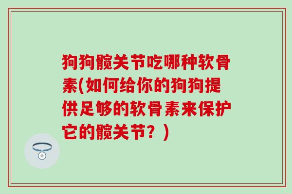 狗狗髋关节吃哪种软骨素(如何给你的狗狗提供足够的软骨素来保护它的髋关节？)-第1张图片-氨糖科普网