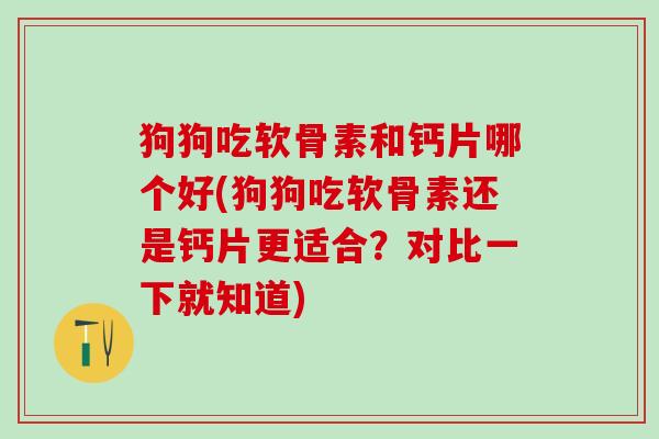狗狗吃软骨素和钙片哪个好(狗狗吃软骨素还是钙片更适合？对比一下就知道)-第1张图片-氨糖科普网