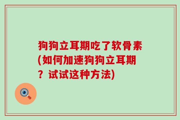 狗狗立耳期吃了软骨素(如何加速狗狗立耳期?试试这种方法)-第1张图片-氨糖科普网 狗狗立耳期吃了软骨素(如何加速狗狗立耳期?试试这种方法)-第1张图片-氨糖科普网