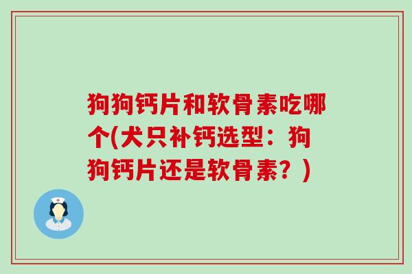 狗狗钙片和软骨素吃哪个(犬只补钙选型:狗狗钙片还是软骨素?)-第1张图片-氨糖科普网 狗狗钙片和软骨素吃哪个(犬只补钙选型:狗狗钙片还是软骨素?)-第1张图片-氨糖科普网