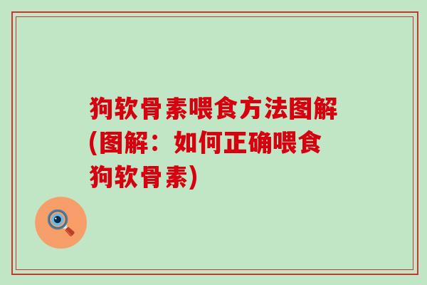 狗软骨素喂食方法图解(图解：如何正确喂食狗软骨素)-第1张图片-氨糖科普网