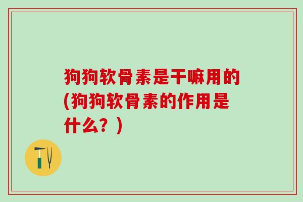 狗狗软骨素是干嘛用的(狗狗软骨素的作用是什么?)-第1张图片-氨糖科普网 狗狗软骨素是干嘛用的(狗狗软骨素的作用是什么?)-第1张图片-氨糖科普网