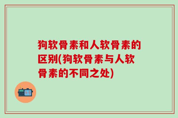 狗软骨素和人软骨素的区别(狗软骨素与人软骨素的不同之处)-第1张图片-氨糖科普网