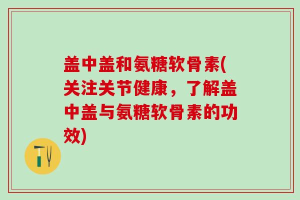 盖中盖和氨糖软骨素(关注关节健康,了解盖中盖与氨糖软骨素的功效)-第1张图片-氨糖科普网 盖中盖和氨糖软骨素(关注关节健康,了解盖中盖与氨糖软骨素的功效)-第1张图片-氨糖科普网