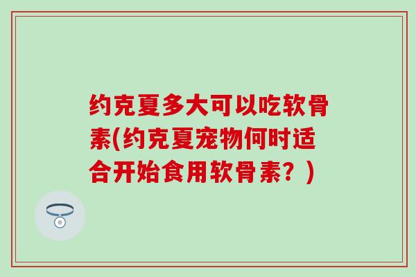 约克夏多大可以吃软骨素(约克夏宠物何时适合开始食用软骨素？)-第1张图片-氨糖科普网