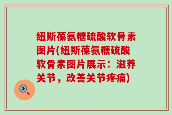 纽斯葆氨糖硫酸软骨素图片(纽斯葆氨糖硫酸软骨素图片展示:滋养关节,改善关节疼痛)-第1张图片-氨糖科普网 纽斯葆氨糖硫酸软骨素图片(纽斯葆氨糖硫酸软骨素图片展示:滋养关节,改善关节疼痛)-第1张图片-氨糖科普网