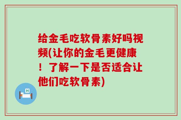给金毛吃软骨素好吗视频(让你的金毛更健康！了解一下是否适合让他们吃软骨素)-第1张图片-氨糖科普网