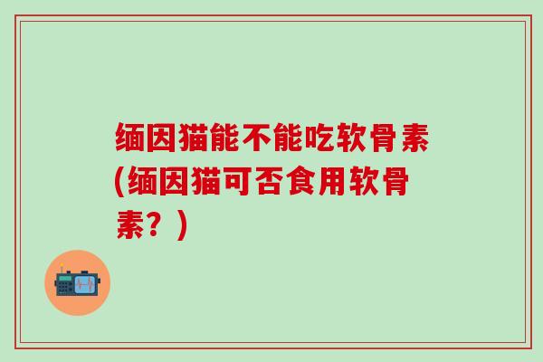 缅因猫能不能吃软骨素(缅因猫可否食用软骨素？)-第1张图片-氨糖科普网