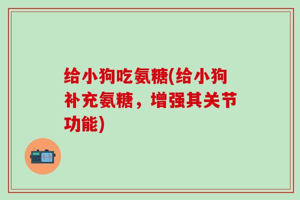 给小狗吃氨糖(给小狗补充氨糖，增强其关节功能)-第1张图片-氨糖科普网