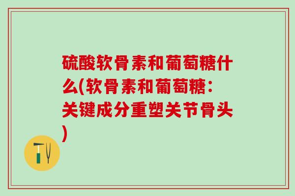 硫酸软骨素和葡萄糖什么(软骨素和葡萄糖:关键成分重塑关节骨头)-第1张图片-氨糖科普网 硫酸软骨素和葡萄糖什么(软骨素和葡萄糖:关键成分重塑关节骨头)-第1张图片-氨糖科普网