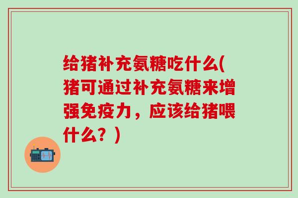 给猪补充氨糖吃什么(猪可通过补充氨糖来增强免疫力,应该给猪喂什么?)-第1张图片-氨糖科普网 给猪补充氨糖吃什么(猪可通过补充氨糖来增强免疫力,应该给猪喂什么?)-第1张图片-氨糖科普网