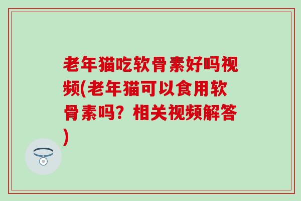 老年猫吃软骨素好吗视频(老年猫可以食用软骨素吗?相关视频解答)-第1张图片-氨糖科普网 老年猫吃软骨素好吗视频(老年猫可以食用软骨素吗?相关视频解答)-第1张图片-氨糖科普网