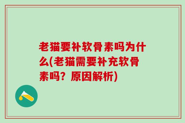 老猫要补软骨素吗为什么(老猫需要补充软骨素吗？原因解析)-第1张图片-氨糖科普网