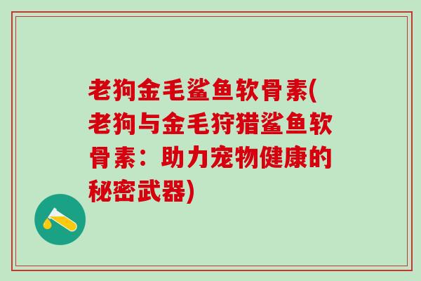 老狗金毛鲨鱼软骨素(老狗与金毛狩猎鲨鱼软骨素:助力宠物健康的秘密武器)-第1张图片-氨糖科普网 老狗金毛鲨鱼软骨素(老狗与金毛狩猎鲨鱼软骨素:助力宠物健康的秘密武器)-第1张图片-氨糖科普网