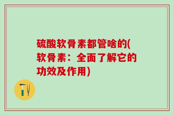 硫酸软骨素都管啥的(软骨素:全面了解它的功效及作用)-第1张图片-氨糖科普网 硫酸软骨素都管啥的(软骨素:全面了解它的功效及作用)-第1张图片-氨糖科普网