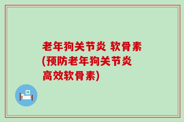 老年狗关节炎 软骨素(预防老年狗关节炎 高效软骨素)-第1张图片-氨糖科普网 老年狗关节炎 软骨素(预防老年狗关节炎 高效软骨素)-第1张图片-氨糖科普网
