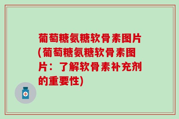 葡萄糖氨糖软骨素图片(葡萄糖氨糖软骨素图片:了解软骨素补充剂的重要性)-第1张图片-氨糖科普网 葡萄糖氨糖软骨素图片(葡萄糖氨糖软骨素图片:了解软骨素补充剂的重要性)-第1张图片-氨糖科普网