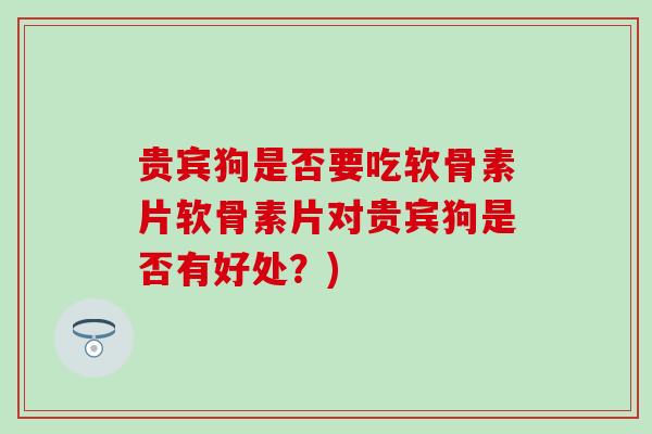 贵宾狗是否要吃软骨素片软骨素片对贵宾狗是否有好处?)-第1张图片-氨糖科普网 贵宾狗是否要吃软骨素片软骨素片对贵宾狗是否有好处?)-第1张图片-氨糖科普网