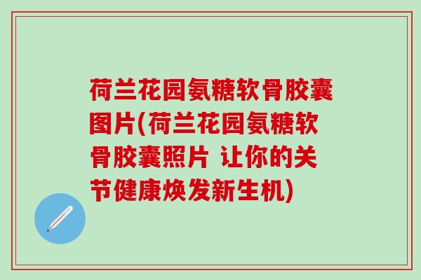 荷兰花园氨糖软骨胶囊图片(荷兰花园氨糖软骨胶囊照片 让你的关节健康焕发新生机)-第1张图片-氨糖科普网 荷兰花园氨糖软骨胶囊图片(荷兰花园氨糖软骨胶囊照片 让你的关节健康焕发新生机)-第1张图片-氨糖科普网