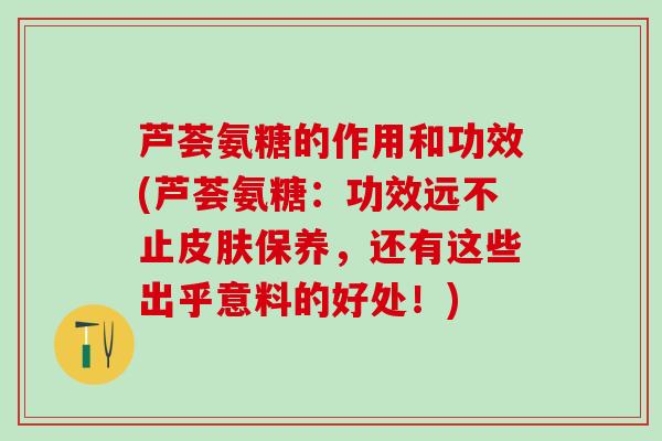 芦荟氨糖的作用和功效(芦荟氨糖:功效远不止皮肤保养,还有这些出乎意料的好处!)-第1张图片-氨糖科普网 芦荟氨糖的作用和功效(芦荟氨糖:功效远不止皮肤保养,还有这些出乎意料的好处!)-第1张图片-氨糖科普网