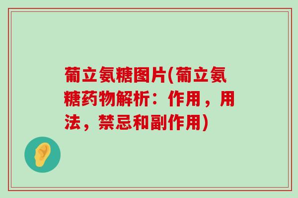 葡立氨糖图片(葡立氨糖药物解析：作用，用法，禁忌和副作用)-第1张图片-氨糖科普网