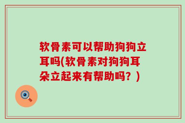 软骨素可以帮助狗狗立耳吗(软骨素对狗狗耳朵立起来有帮助吗?)-第1张图片-氨糖科普网 软骨素可以帮助狗狗立耳吗(软骨素对狗狗耳朵立起来有帮助吗?)-第1张图片-氨糖科普网