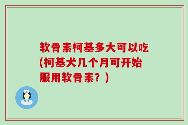 软骨素柯基多大可以吃(柯基犬几个月可开始服用软骨素?)-第1张图片-氨糖科普网 软骨素柯基多大可以吃(柯基犬几个月可开始服用软骨素?)-第1张图片-氨糖科普网